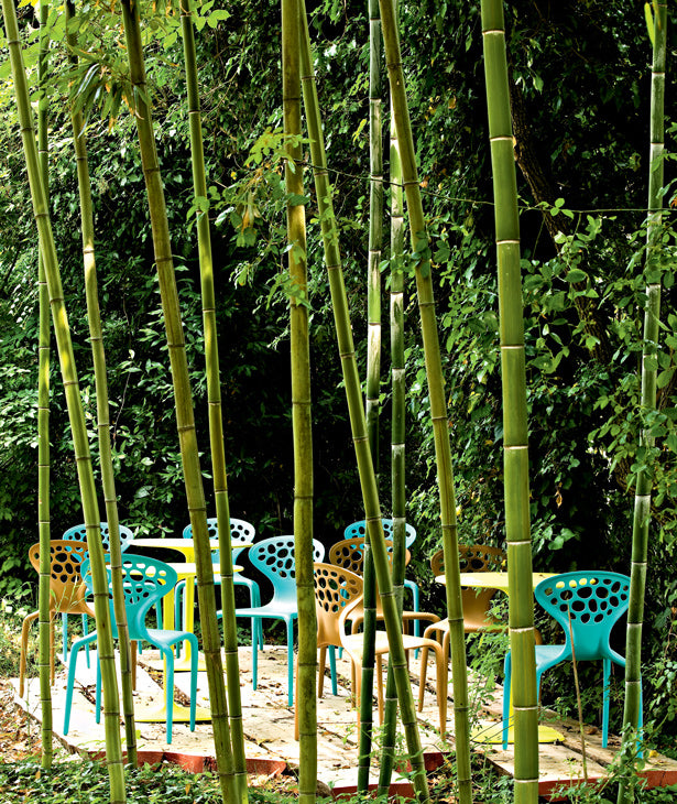 Moroso Supernatural, chair
by Ross Lovegrove, 2005 Bi Colour